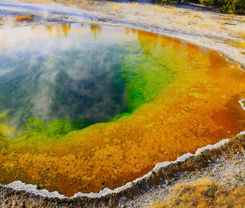 Morning Glory Pool im Upper Geyser Basin des Yellowstone-Nationalparks, bunte Farben durch verschiedenes Gestein und gefüllt mit klarem Wasser